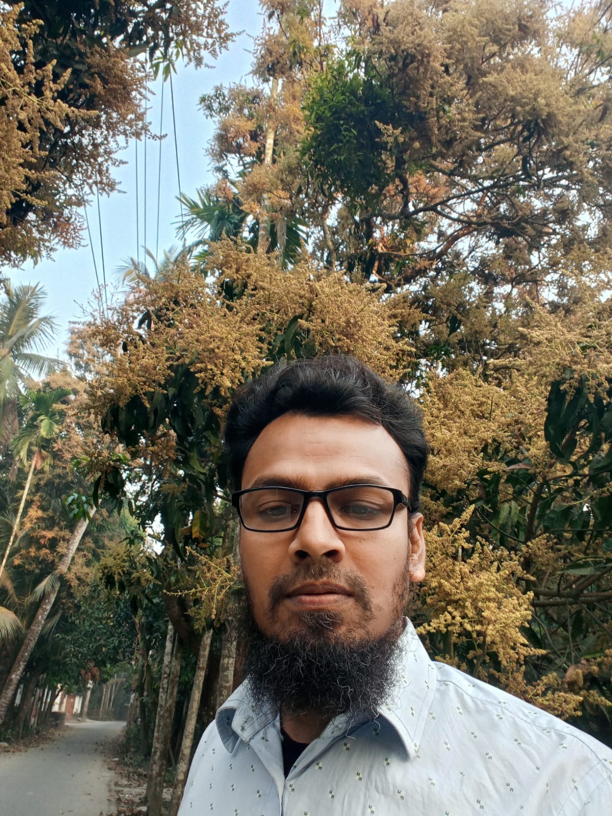 কাজী আব্দুল মোত্তালিব
